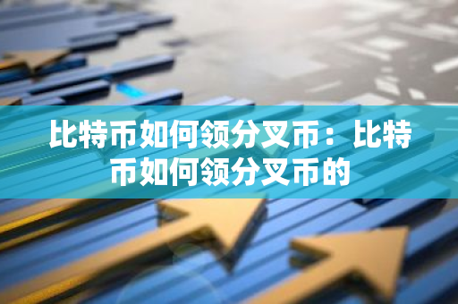 比特币如何领分叉币：比特币如何领分叉币的-第1张图片-智财锋资讯网