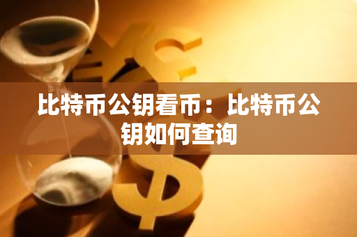 比特币公钥看币：比特币公钥如何查询