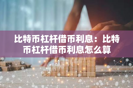 比特币杠杆借币利息：比特币杠杆借币利息怎么算