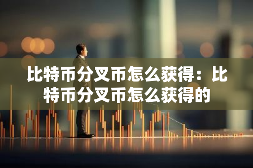 比特币分叉币怎么获得：比特币分叉币怎么获得的