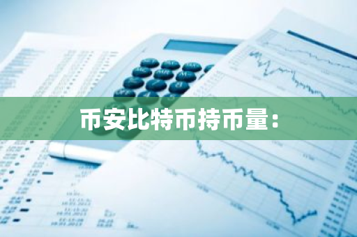 币安比特币持币量：-第1张图片-智财锋资讯网