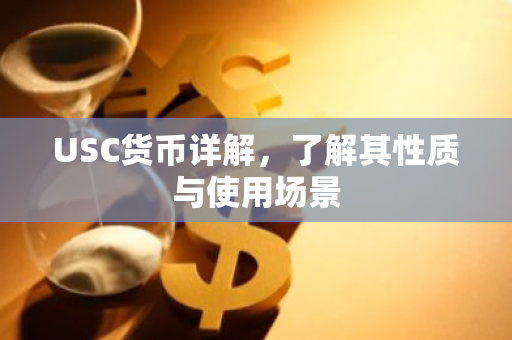 USC货币详解，了解其性质与使用场景