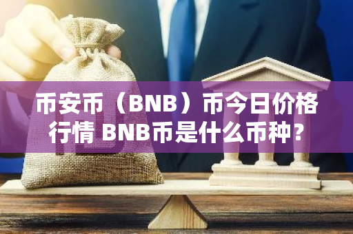 币安币（BNB）币今日价格行情 BNB币是什么币种？-第1张图片-智财锋资讯网