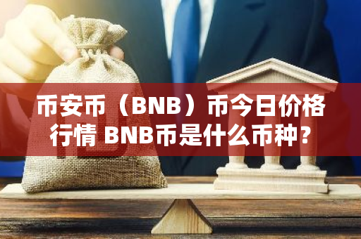 币安币（BNB）币今日价格行情 BNB币是什么币种？-第1张图片-智财锋资讯网
