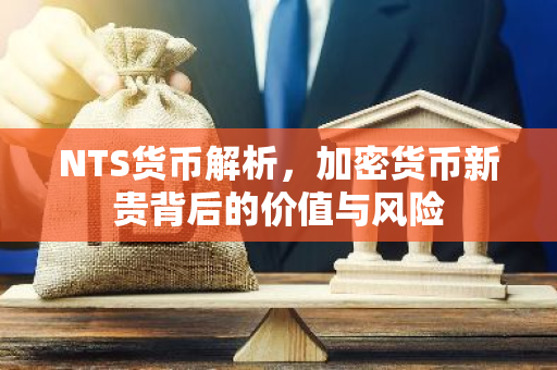 NTS货币解析,加密货币新贵背后的价值与风险-第1张图片-智财锋资讯网 NTS货币解析,加密货币新贵背后的价值与风险-第1张图片-智财锋资讯网