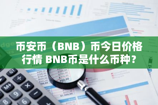 币安币（BNB）币今日价格行情 BNB币是什么币种？-第1张图片-智财锋资讯网