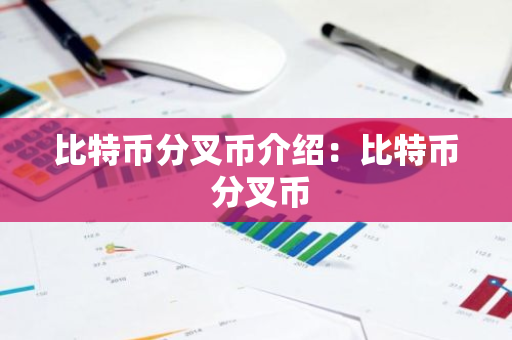 比特币分叉币介绍：比特币 分叉币