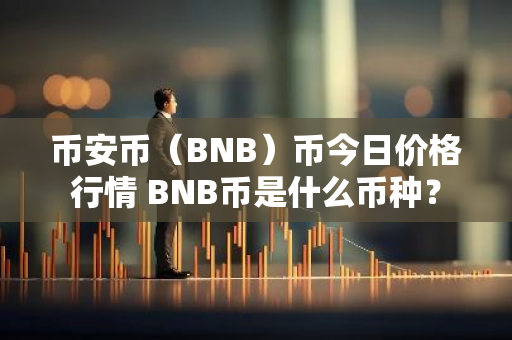 币安币（BNB）币今日价格行情 BNB币是什么币种？-第1张图片-智财锋资讯网
