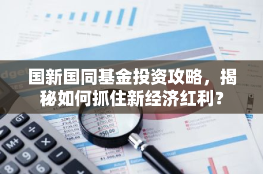 国新国同基金投资攻略，揭秘如何抓住新经济红利？