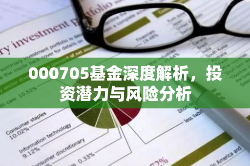 000705基金深度解析，投资潜力与风险分析
