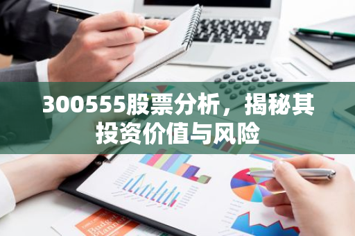 300555股票分析，揭秘其投资价值与风险