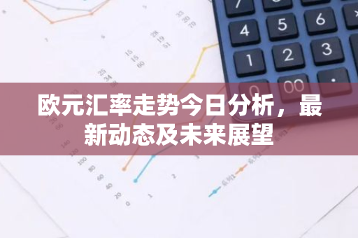 欧元汇率走势今日分析，最新动态及未来展望