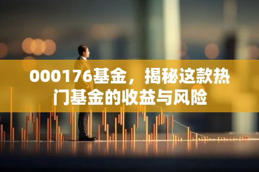 000176基金，揭秘这款热门基金的收益与风险