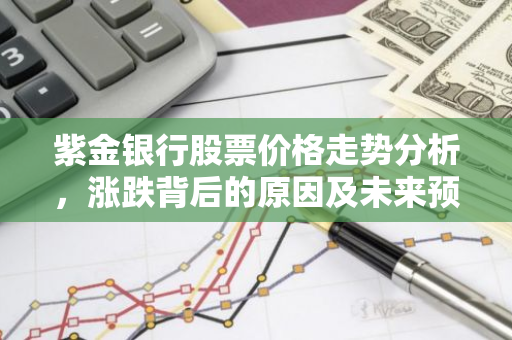 紫金银行股票价格走势分析，涨跌背后的原因及未来预测