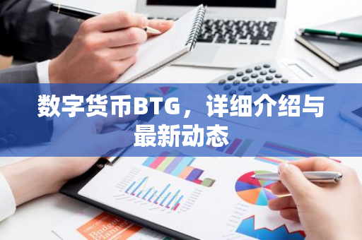 数字货币BTG，详细介绍与最新动态-第1张图片-智财锋资讯网