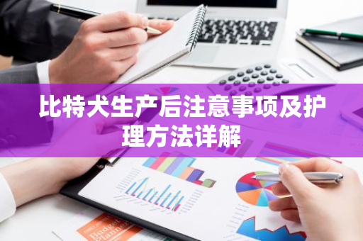 比特犬生产后注意事项及护理方法详解