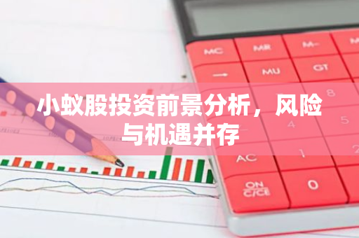 小蚁股投资前景分析，风险与机遇并存