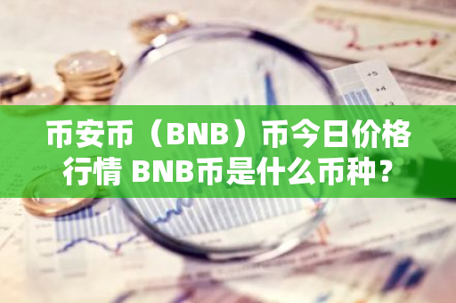 币安币（BNB）币今日价格行情 BNB币是什么币种？-第1张图片-智财锋资讯网