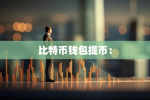 比特币钱包提币：
