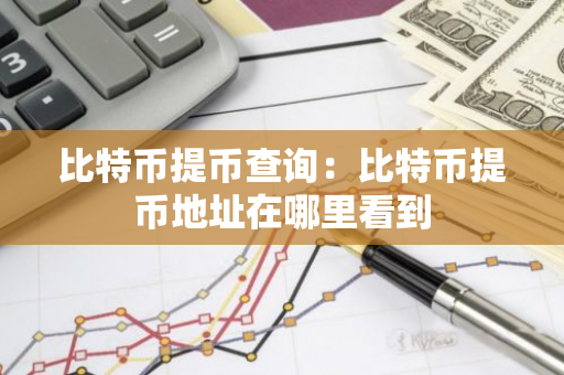 比特币提币查询：比特币提币地址在哪里看到