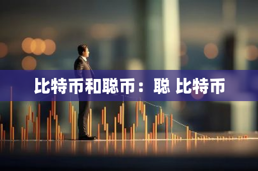 比特币和聪币：聪 比特币-第1张图片-智财锋资讯网