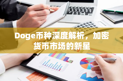 Doge币种深度解析，加密货币市场的新星-第1张图片-智财锋资讯网