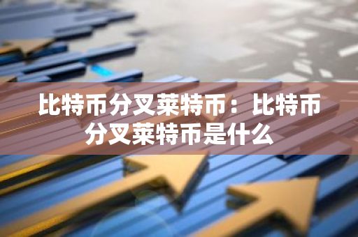 比特币分叉莱特币:比特币分叉莱特币是什么-第1张图片-智财锋资讯网 比特币分叉莱特币:比特币分叉莱特币是什么-第1张图片-智财锋资讯网