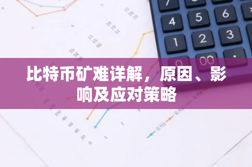 比特币矿难详解，原因、影响及应对策略-第1张图片-智财锋资讯网