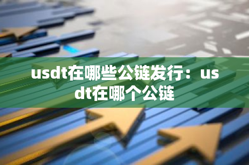 usdt在哪些公链发行：usdt在哪个公链