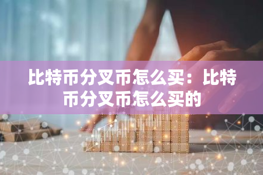 比特币分叉币怎么买：比特币分叉币怎么买的-第1张图片-智财锋资讯网