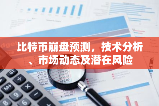 比特币崩盘预测，技术分析、市场动态及潜在风险-第1张图片-智财锋资讯网