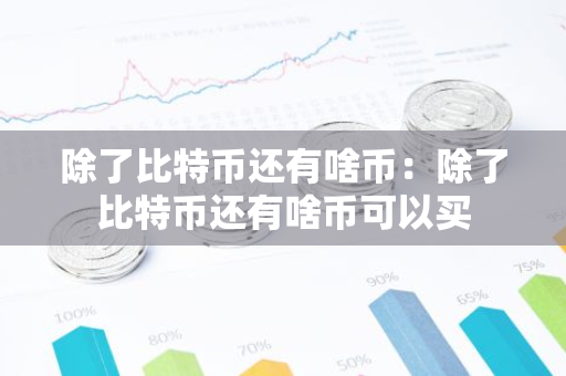 除了比特币还有啥币：除了比特币还有啥币可以买