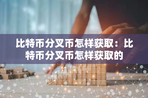 比特币分叉币怎样获取：比特币分叉币怎样获取的
