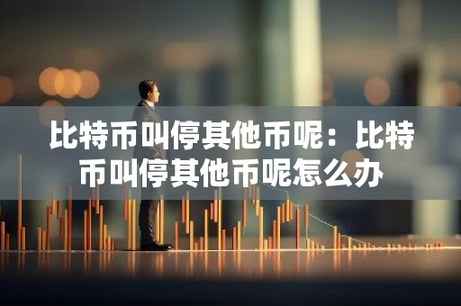 比特币叫停其他币呢：比特币叫停其他币呢怎么办