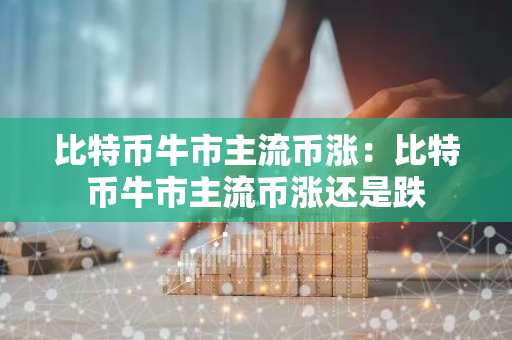 比特币牛市主流币涨:比特币牛市主流币涨还是跌-第1张图片-智财锋资讯网 比特币牛市主流币涨:比特币牛市主流币涨还是跌-第1张图片-智财锋资讯网