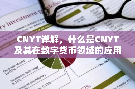 CNYT详解，什么是CNYT及其在数字货币领域的应用-第1张图片-智财锋资讯网