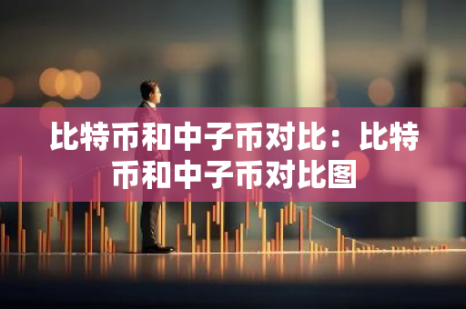 比特币和中子币对比：比特币和中子币对比图