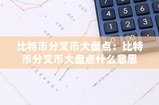 比特币分叉币大盘点：比特币分叉币大盘点什么意思-第1张图片-智财锋资讯网