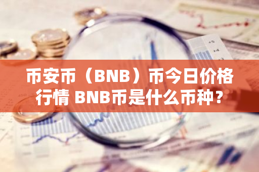 币安币（BNB）币今日价格行情 BNB币是什么币种？-第1张图片-智财锋资讯网