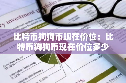 比特币狗狗币现在价位：比特币狗狗币现在价位多少