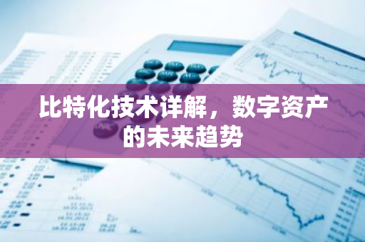 比特化技术详解，数字资产的未来趋势-第1张图片-智财锋资讯网