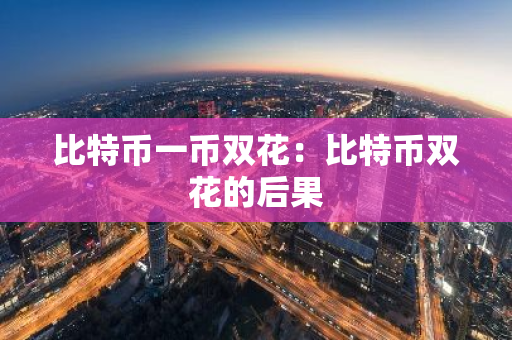 比特币一币双花：比特币双花的后果