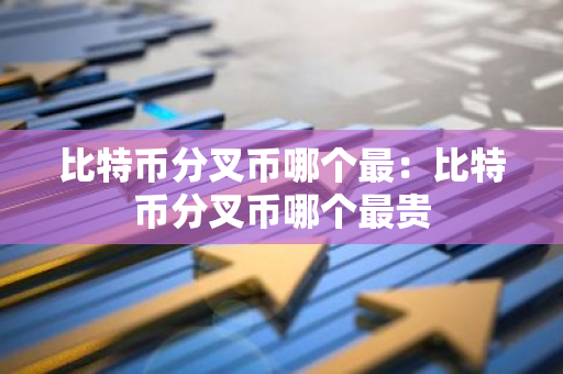 比特币分叉币哪个最：比特币分叉币哪个最贵