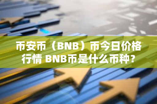 币安币（BNB）币今日价格行情 BNB币是什么币种？-第1张图片-智财锋资讯网