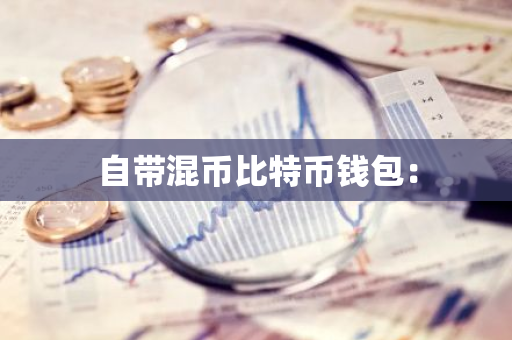 自带混币比特币钱包：-第1张图片-智财锋资讯网
