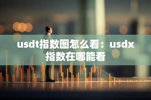 usdt指数图怎么看：usdx指数在哪能看