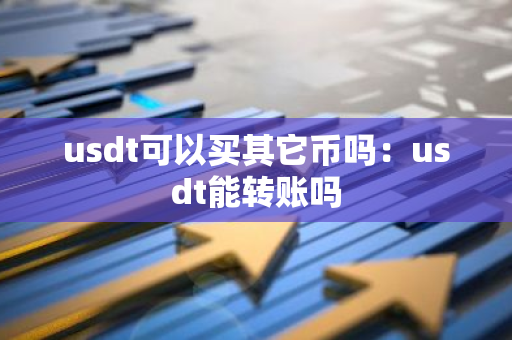 usdt可以买其它币吗：usdt能转账吗