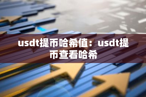 usdt提币哈希值：usdt提币查看哈希-第1张图片-智财锋资讯网