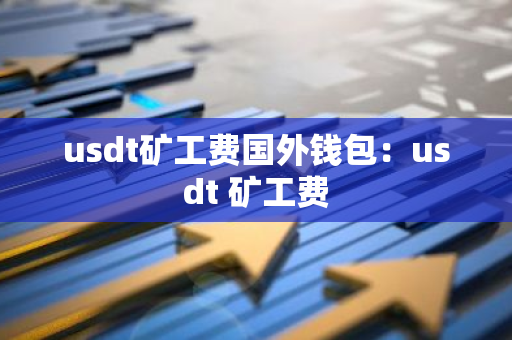 usdt矿工费国外钱包：usdt 矿工费-第1张图片-智财锋资讯网