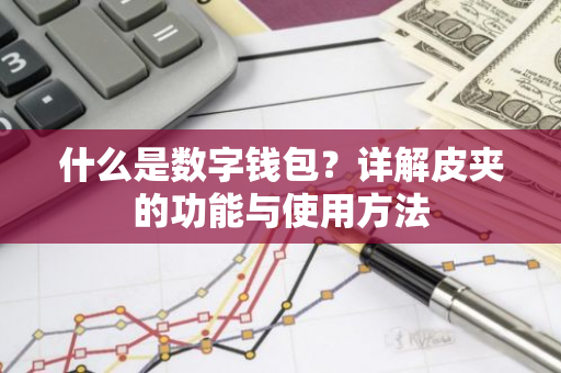 什么是数字钱包？详解皮夹的功能与使用方法